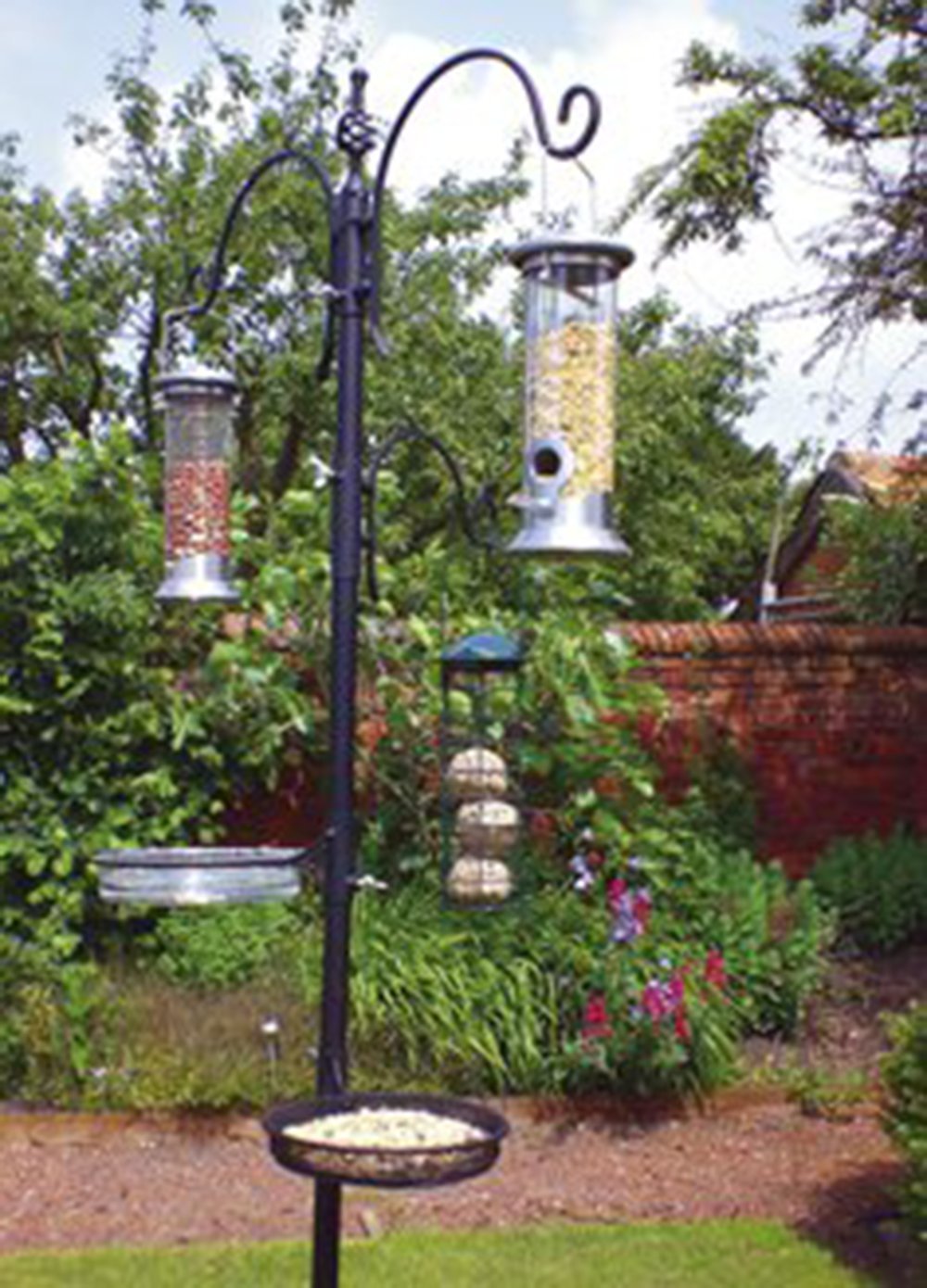 Kingfisher Bird Feeding Station